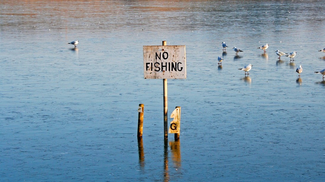 No fishing