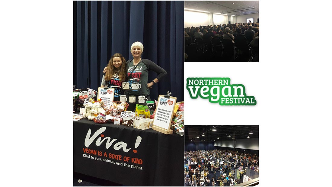 Northern vegan festival