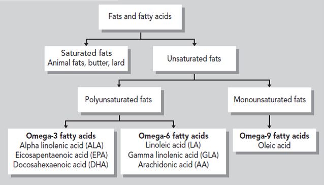 Fats