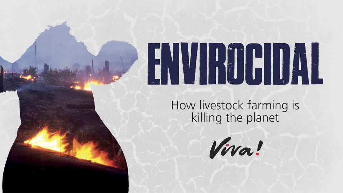 Envirocidal Viva!