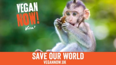 Vegan Now - Monkey