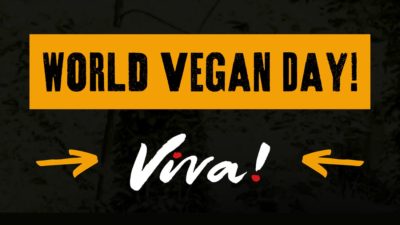 World Vegan Day!