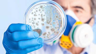 antibiotic resistant superbugs