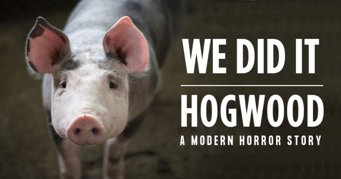 Viva! Victory: Hogwood documentary crowdfund smashed four days early!