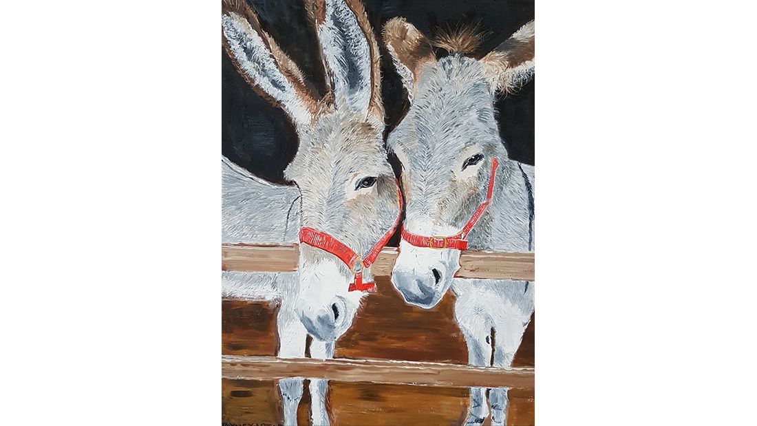 Jayne Yilmaz Donkeys