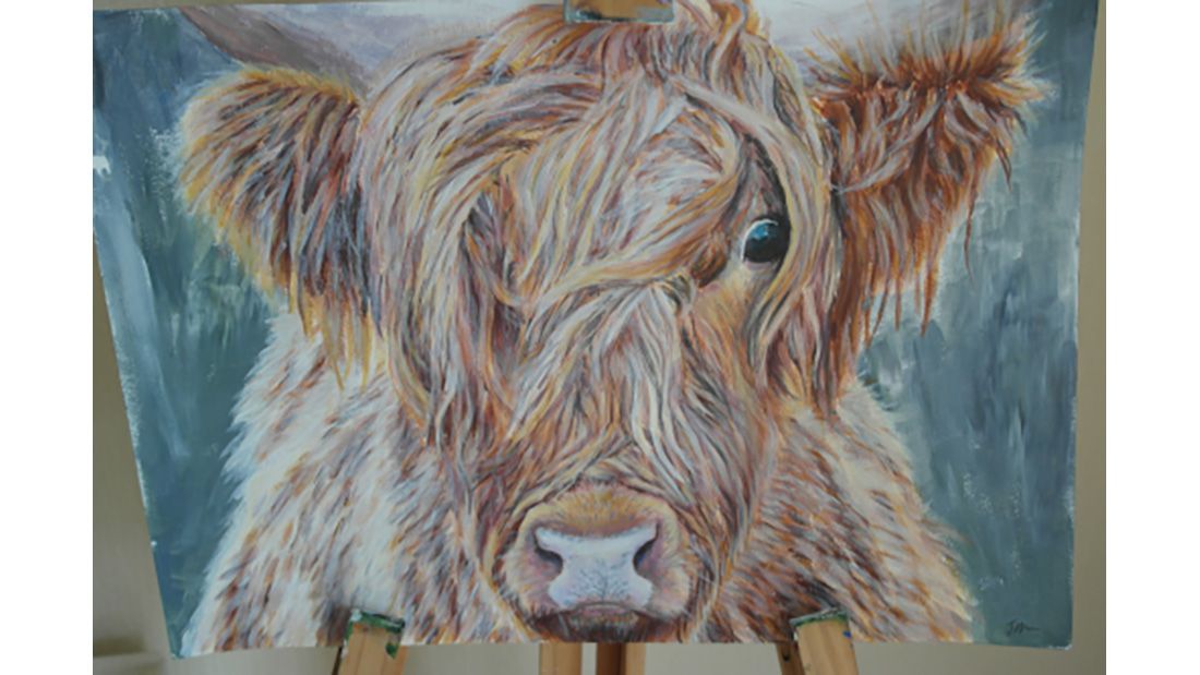 Jodie Hughes Hairy Cow