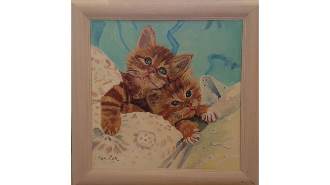 Loretta Reid Quarrell kittens in Cotton