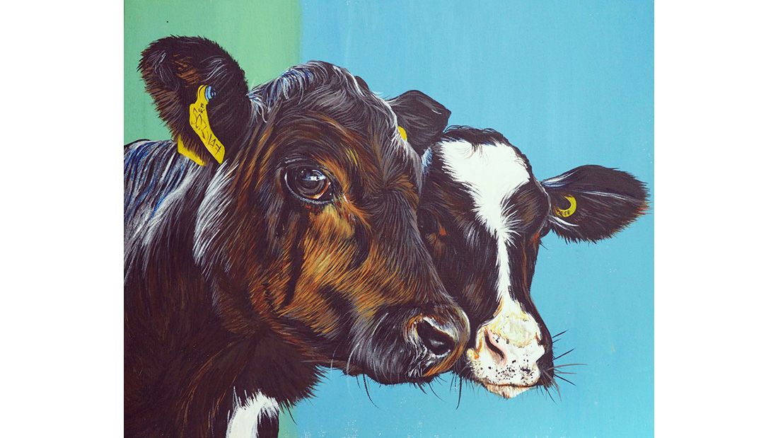 Naomi Joy cows