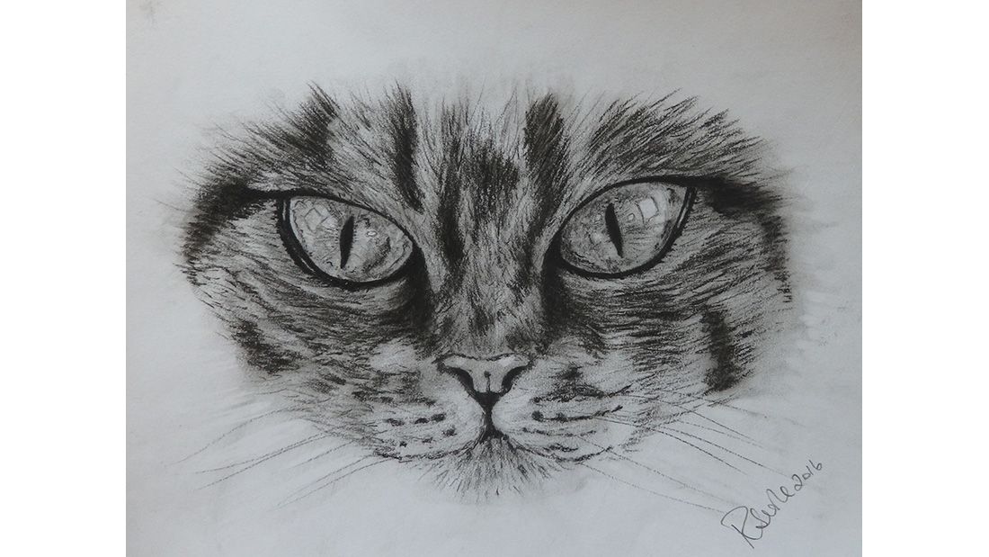 Ruth Searle cat