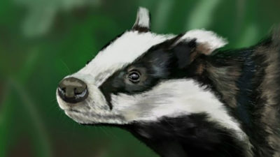 Sarah Curtis Badger main