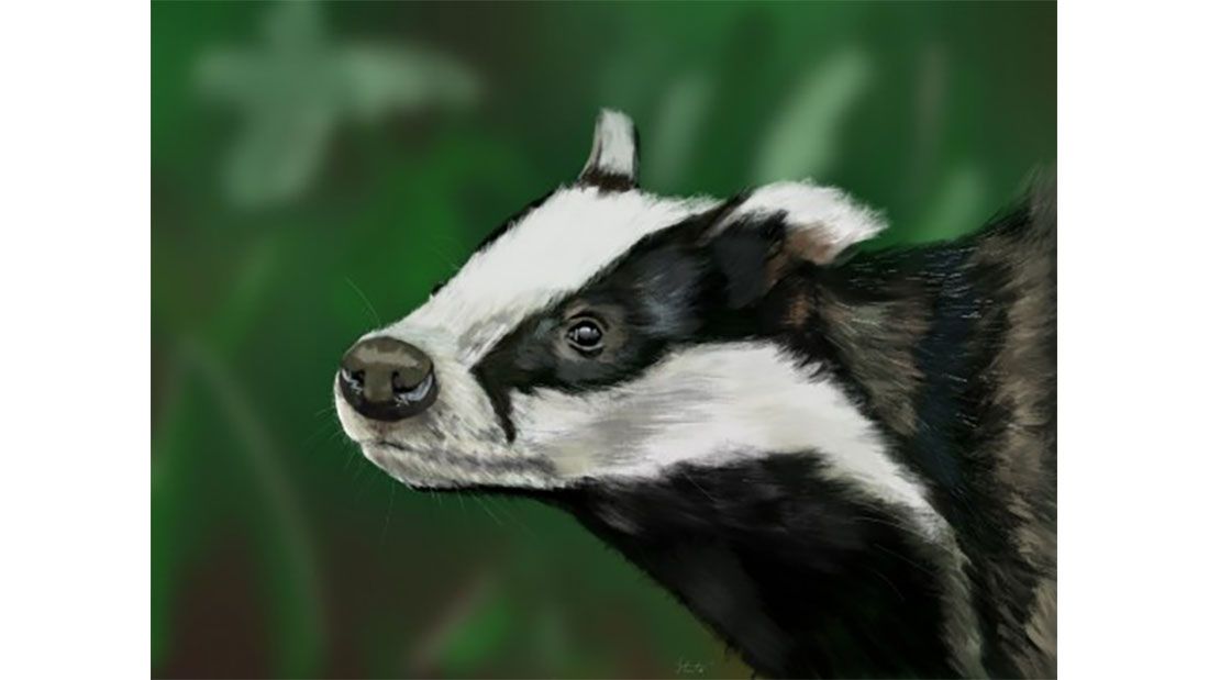 Sarah Curtis Badger