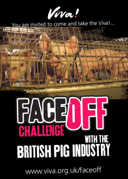 Face off: The british pig industry