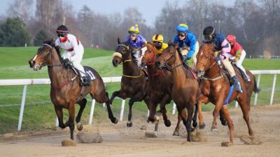 Jockies riding horses in a horse race