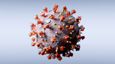 Virus image