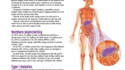 Diabetes factsheet