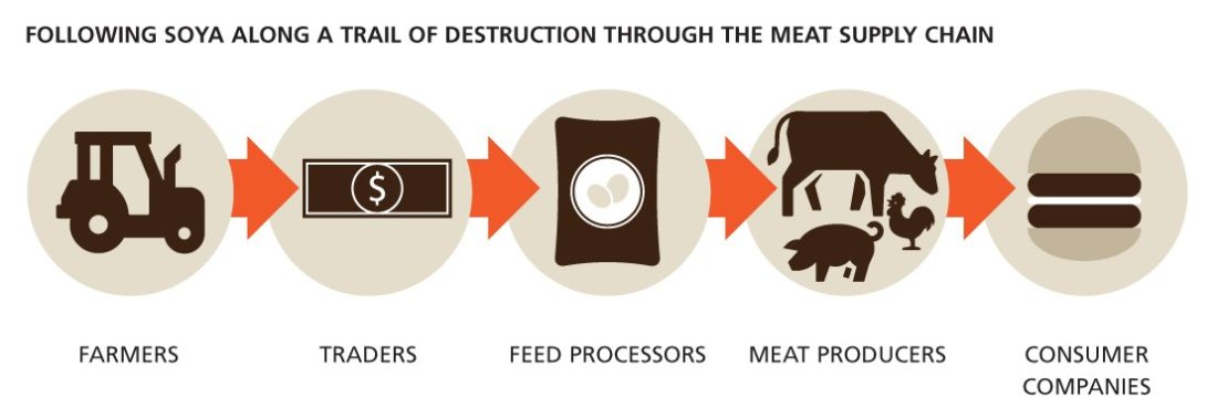 Meat Supply Chain