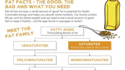 Mini fact sheet: Fat facts