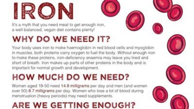 Mini fact sheet: Iron