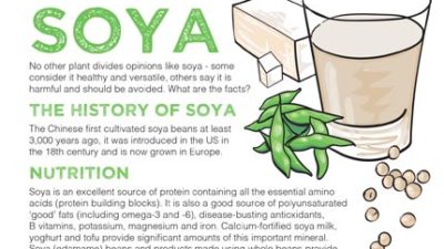 Mini fact sheet Soya