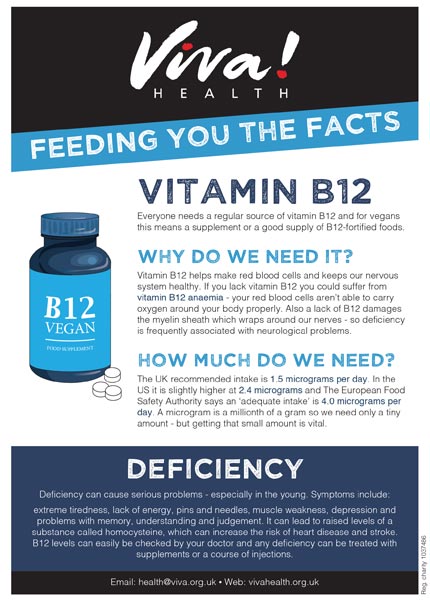 Mini fact sheet: Vitamin B12