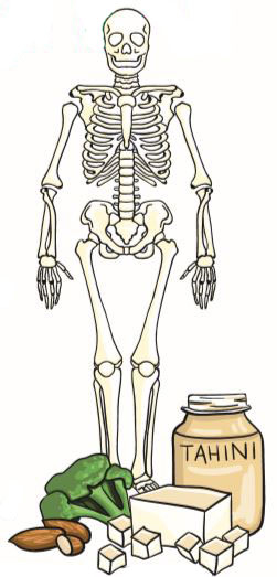 Picture for calcium