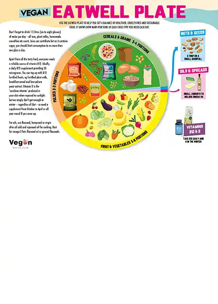 Balanced Vegan Eatwell Plate cover