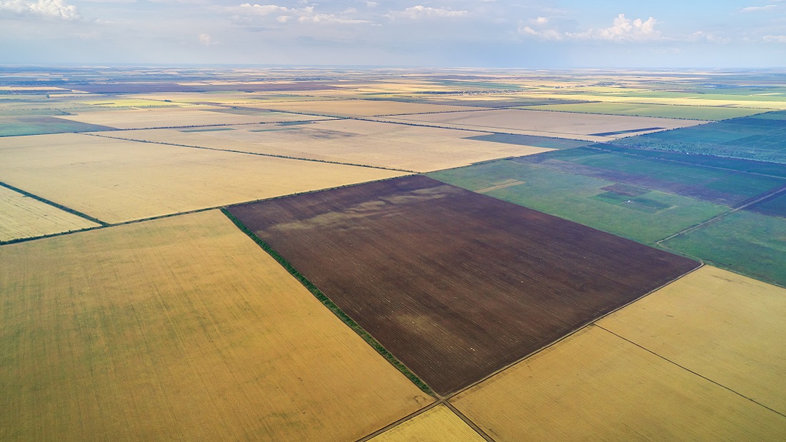 Aerial view of agricultural land