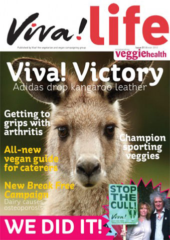 VL51 cover