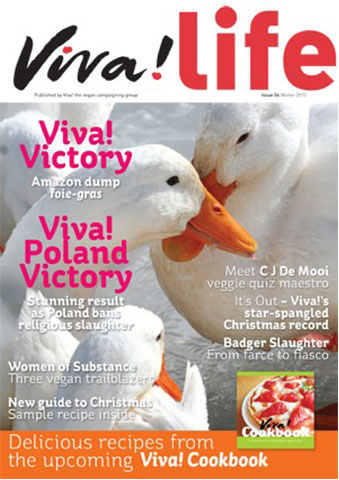 VL54 cover