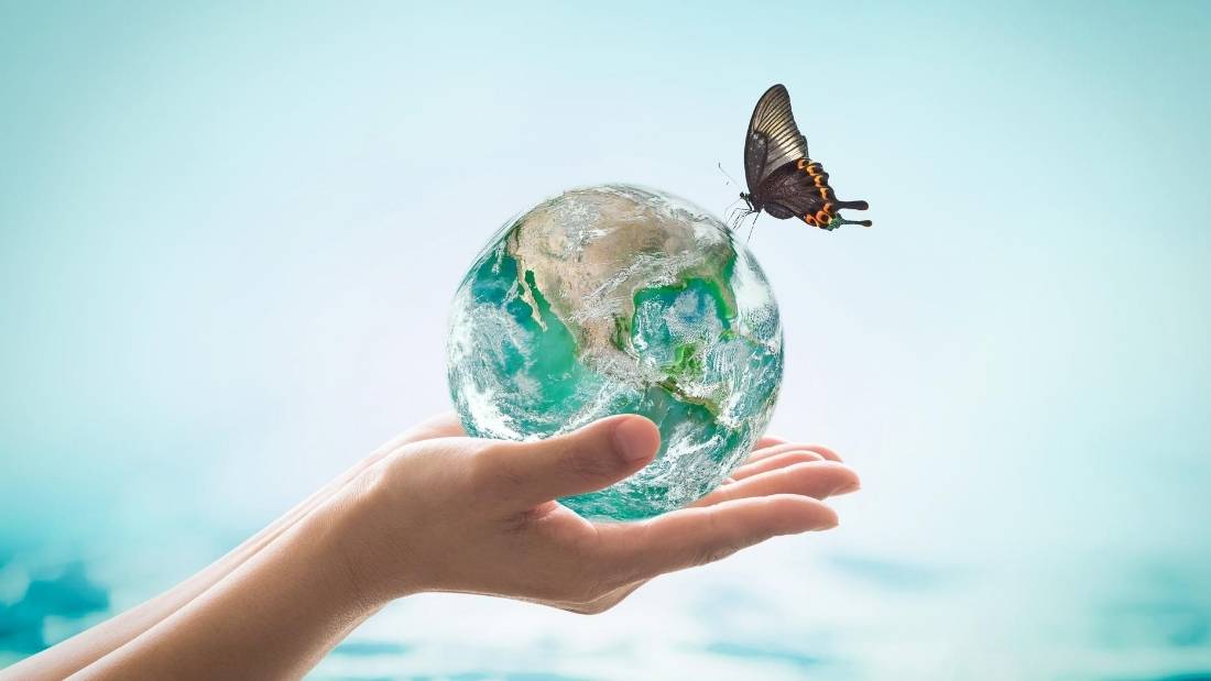 biodiversity hand holding earth with butterfly on it