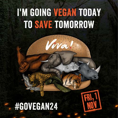 Go Vegan!