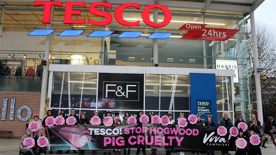 Tesco - Group Shot