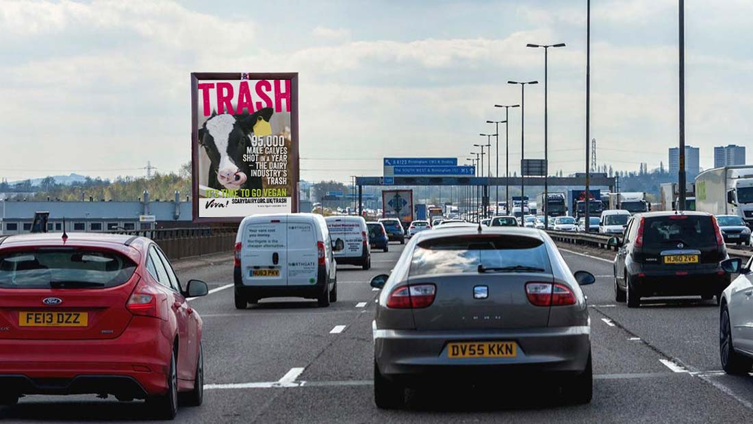 Tongue Poster as Billboard