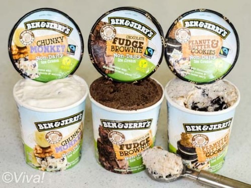 ben and jerry vegan ice cream