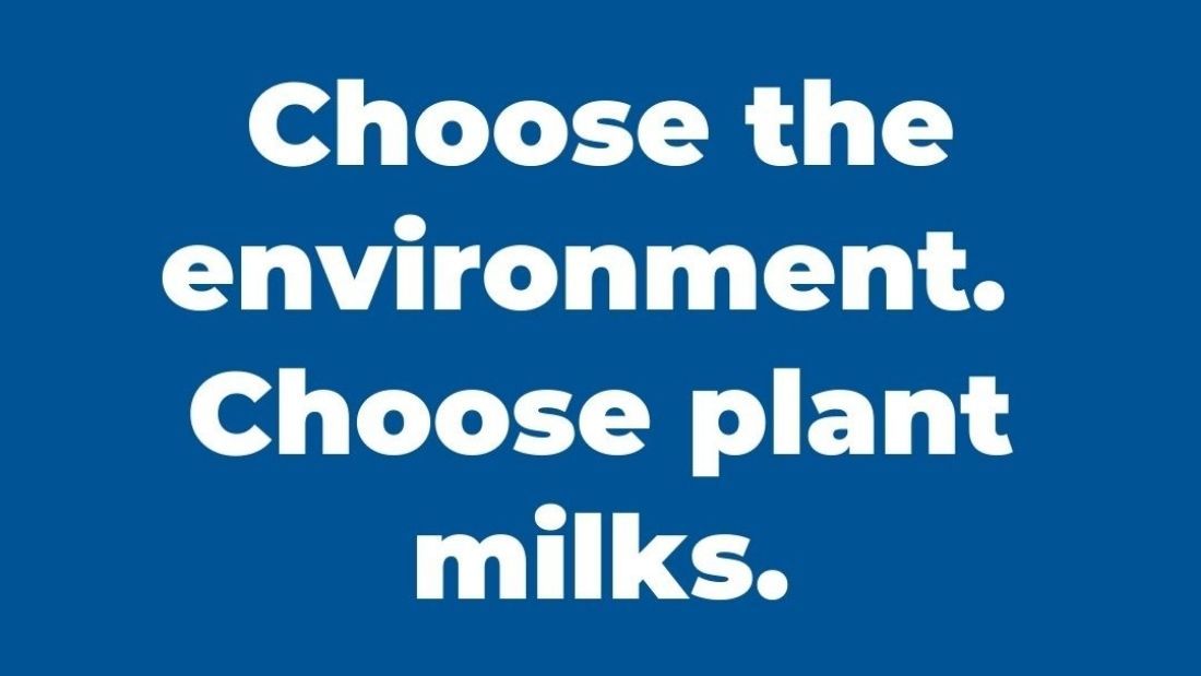 Choose the environment