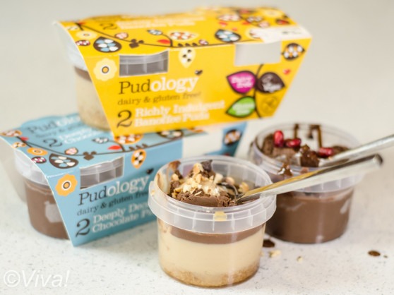 pudology vegan dessert pots