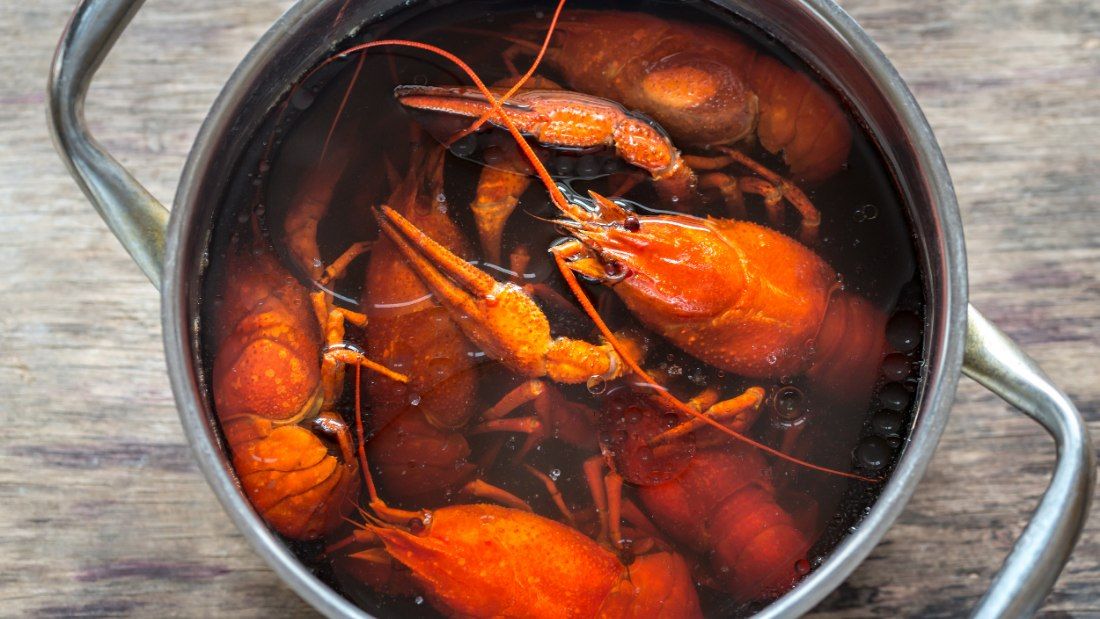 lobsters being boiled in pot