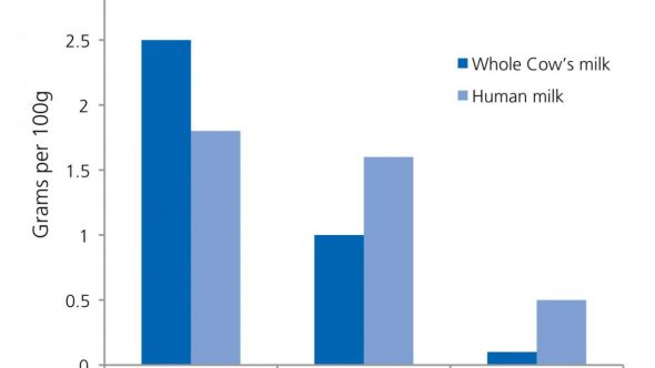 comparison between human milk and cows milk figure 2