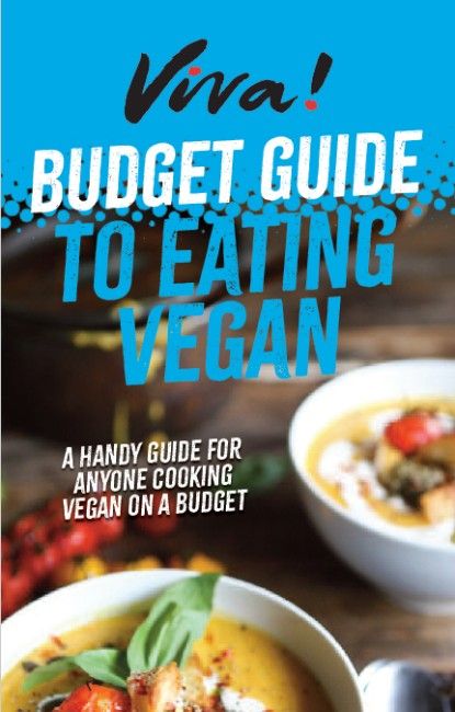 vegan budget recipe guide