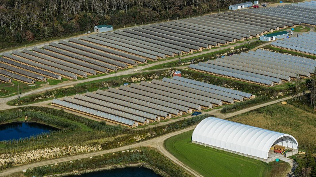 fur farm in canada