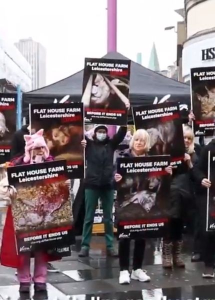 people holding flat house farm placards