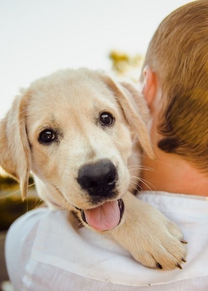 man carrying a puppy