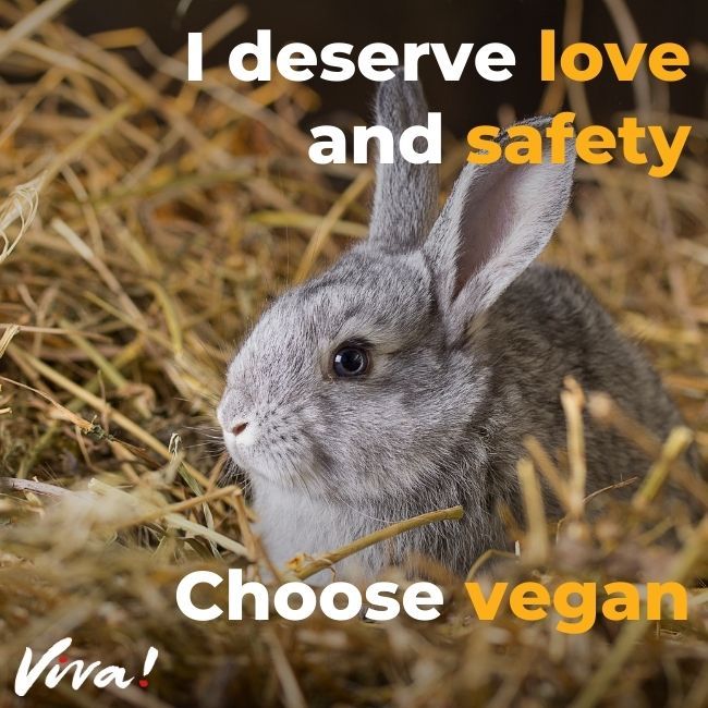 Rabbit sat in hay. 'I deserve love and safety.'