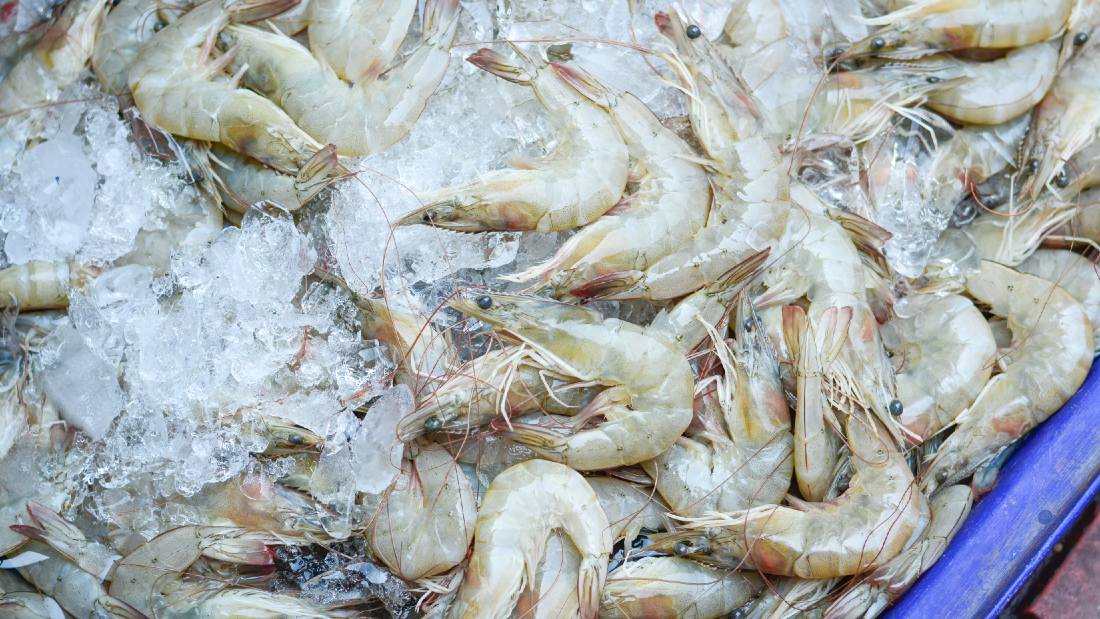 frozen shrimp