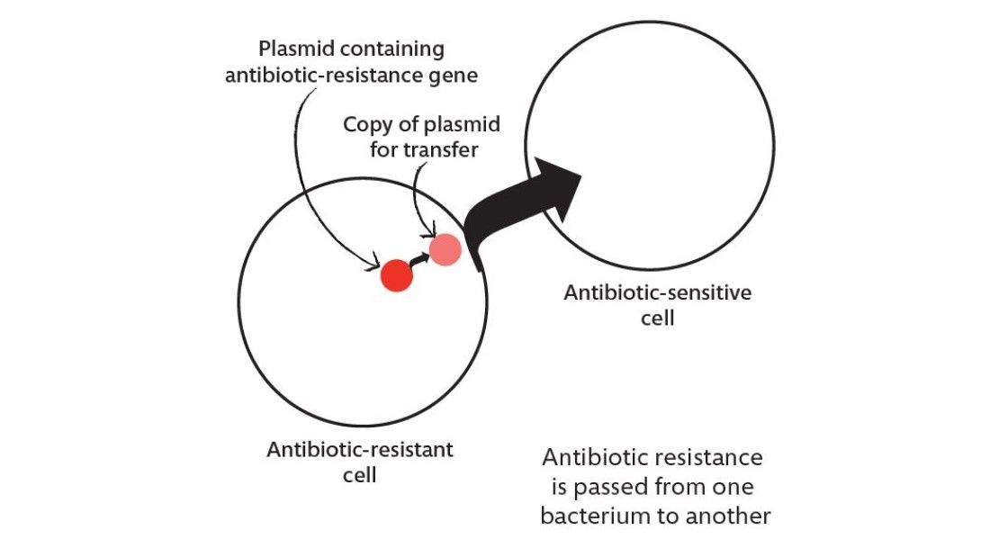 AMR transfer