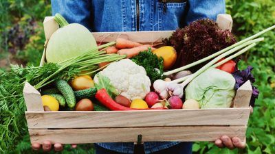 box of organic produce