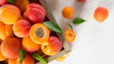 apricots