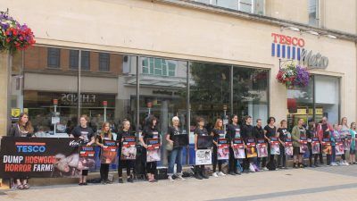 Viva! activists standing outside tesco with placards protesting against hogwood farm in 2018