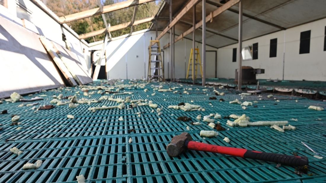 Empty farrowing shed being demolished