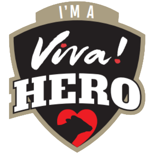 Viva Hero logo